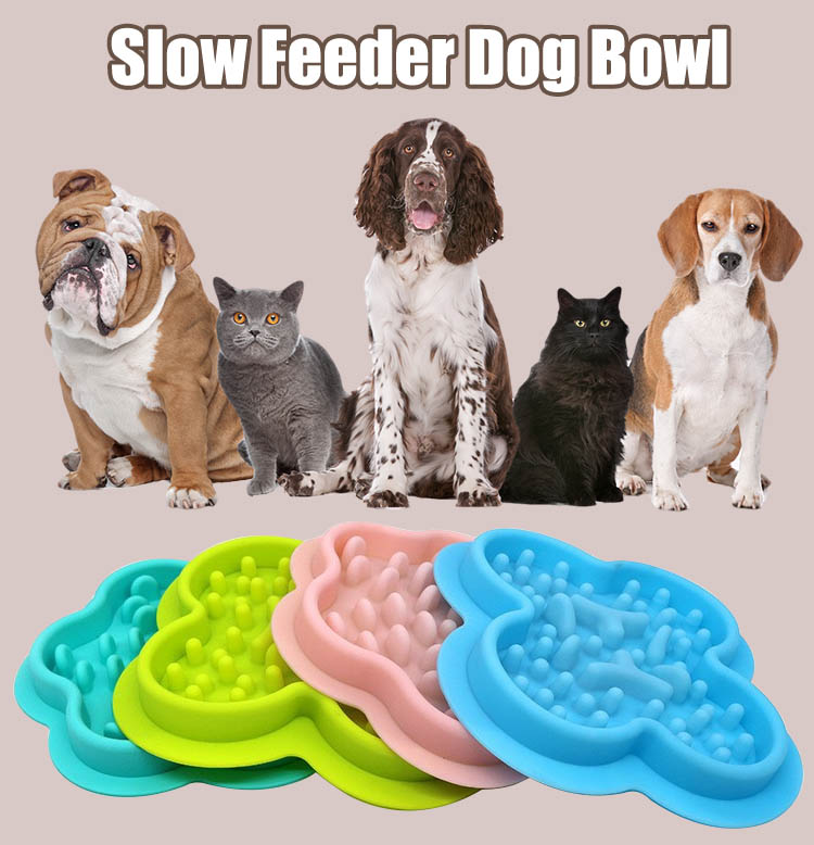 slow feeder bowl